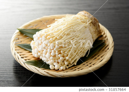 Enoki mushroom 31857664