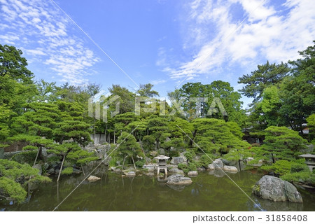 在Oto先生的花園(三重縣桑名市)的Ikegai 在Oto先生的花園(三重縣桑名市)的Ikegai 31858408