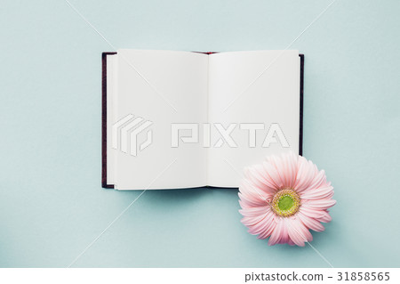flat lay pink flower and diary on blue background 31858565