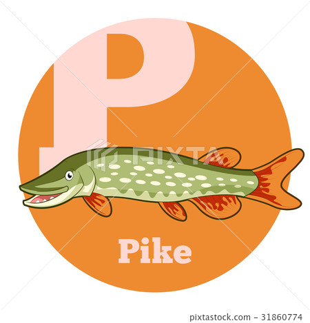 ABC Cartoon Pike - Stock Illustration [31860774] - PIXTA