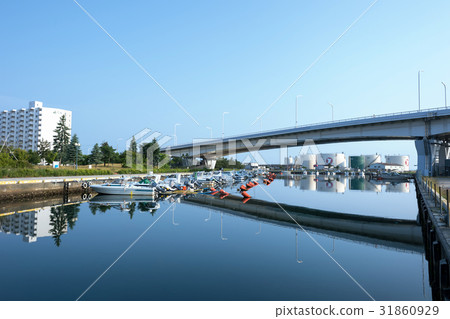 Yotto Harbor  31860929