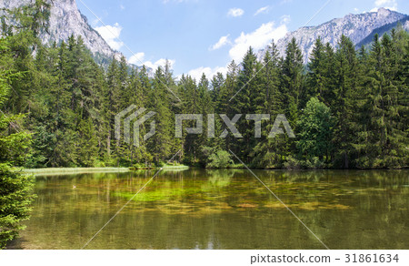 Beautiful summer alpine landscape in Austria Beautiful summer alpine landscape in Austria 31861634