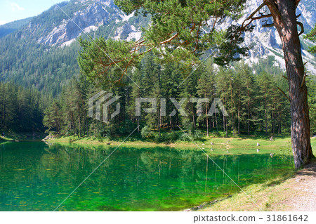 Famous green lake in Styria region of Austria Famous green lake in Styria region of Austria 31861642