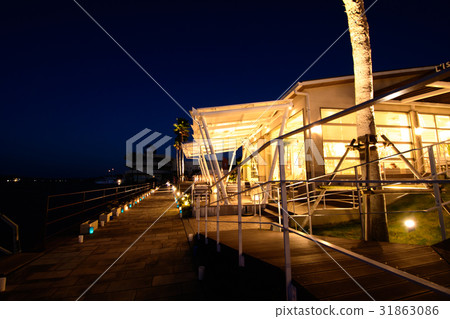 Lyrerathalus Amakusa 31863086