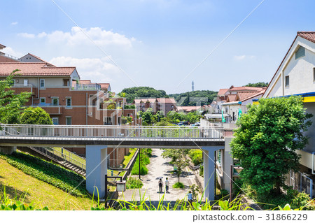 郊區的新城鎮 31866229