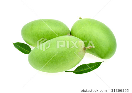 green mango isolated on white background green mango isolated on white background 31866365