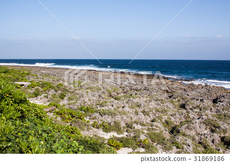 海邊礁石 31869186