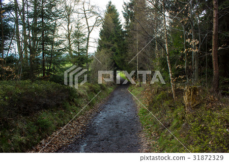 View of the Beskydy. View of the Beskydy. 31872329
