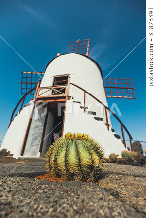 Windmill in cactus garden in Guatiza village 31873391