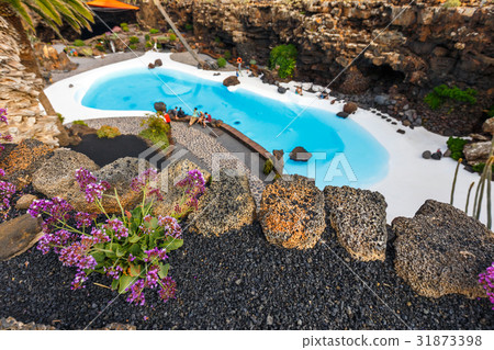 Jameos del Agua pool in volcanic cave, Lanzarote Jameos del Agua pool in volcanic cave, Lanzarote 31873398