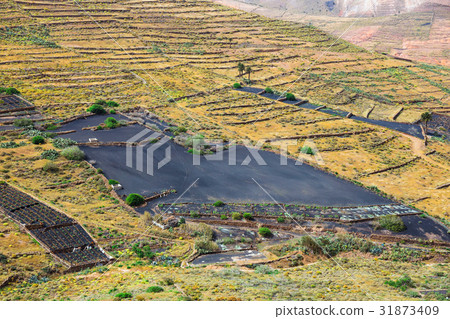 Volcanic landscape of Lanzarote, Canary Islands 31873409