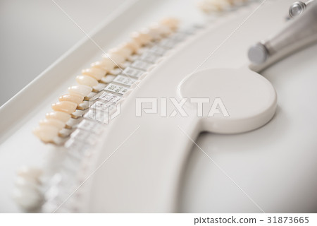 Typodont loacating in dentist room Typodont loacating in dentist room 31873665