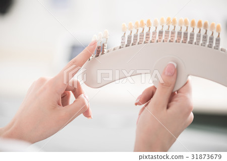 Dentist arm demonstrating example of teeth Dentist arm demonstrating example of teeth 31873679