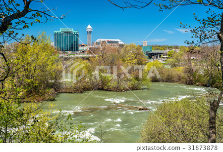 The Niagara river seen from Goat Island - New York The Niagara river seen from Goat Island - New York 31873878