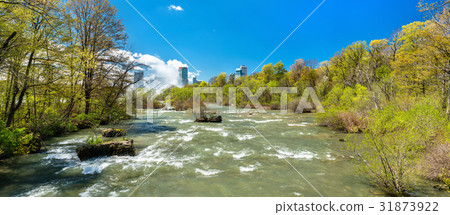 The Niagara river seen from Goat Island - New York The Niagara river seen from Goat Island - New York 31873922