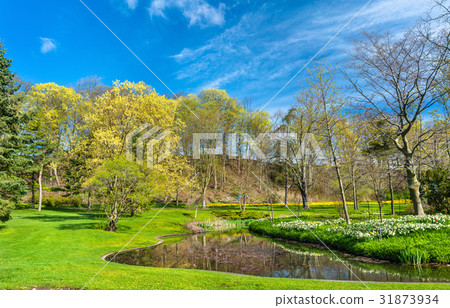 View of Queen Victoria Park - Niagara Falls View of Queen Victoria Park - Niagara Falls 31873934