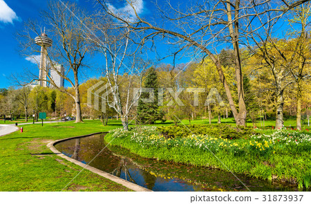 View of Queen Victoria Park - Niagara Falls View of Queen Victoria Park - Niagara Falls 31873937