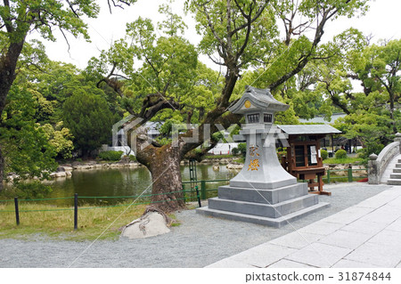 宗像神社 宗像神社 31874844