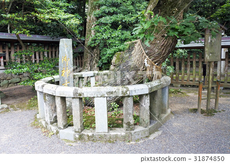 宗像神社 宗像神社 31874850