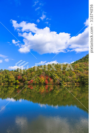 大野池塘水彩在秋天 31874856