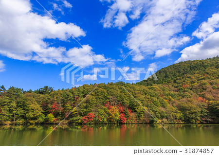 大野池塘水彩在秋天 31874857