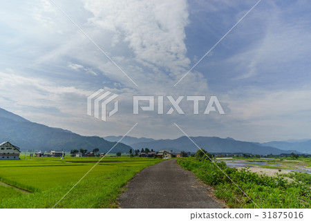 六天鎮鄉下風景在夏天 31875016