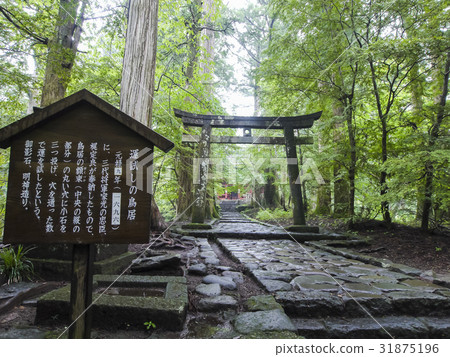 Torii torii for luck 31875196