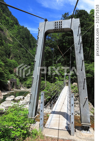 Osugitani的Dorikuraki吊橋 Osugitani的Dorikuraki吊橋 31875838