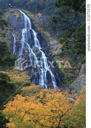 Chiaki waterfall of Osugiya Chiaki waterfall of Osugiya 31875839