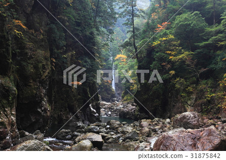 Shishi Fuchi and Nikoniko Waterfall in Osugitani 31875842