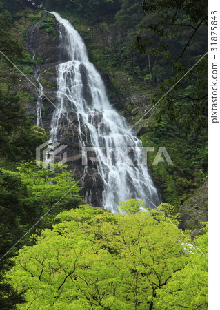 Chiaki waterfall of Osugiya 31875843