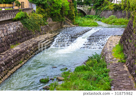 Nakajima River stone bridge group of the fresh green (Momoi bridge) Nagasaki 31875982