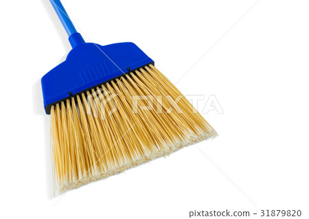 Close-up of broom 31879820