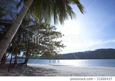 Sky & Ocean 31880437