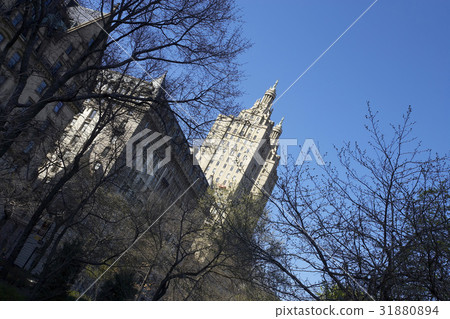 New York City New York City 31880894