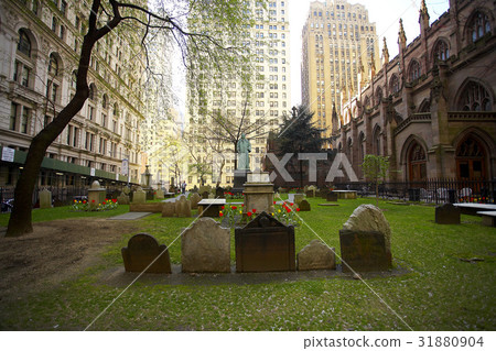 New York City New York City 31880904