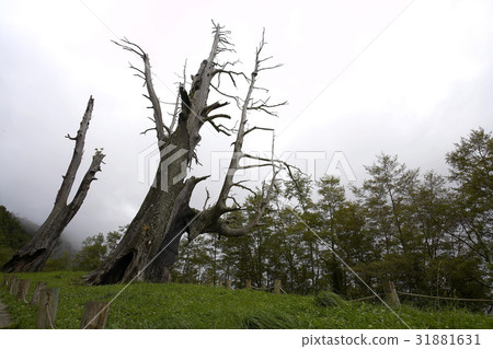 Taiwan Landmark Taiwan Landmark 31881631