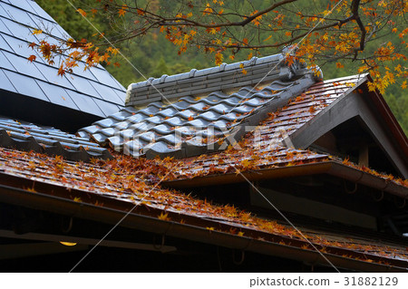 Autumn Kyoto 31882129