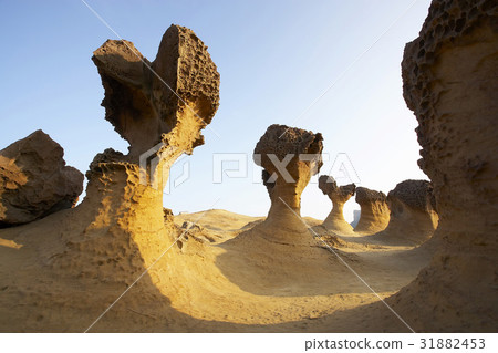 Taiwan Landmark 31882453