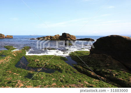 Majestic Scenery 31883000