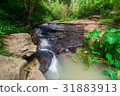 Waterfalls flowing from the forest 31883913