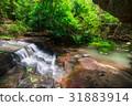 Waterfalls flowing from the forest 31883914