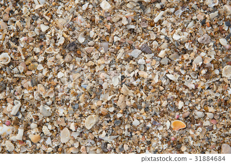 closeup macro high detail of seabeach sand closeup macro high detail of seabeach sand 31884684