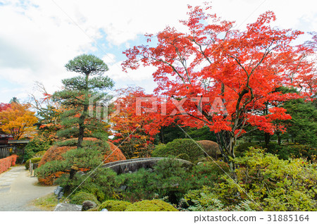 Shoyo-en  japanese garden in nikko, Japan 31885164
