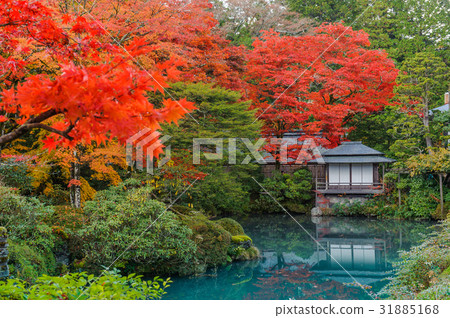 Shoyo-en japanese garden in nikko, Japan Shoyo-en japanese garden in nikko, Japan 31885168
