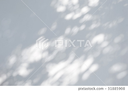 shadow of the leaves on a white wall 31885908