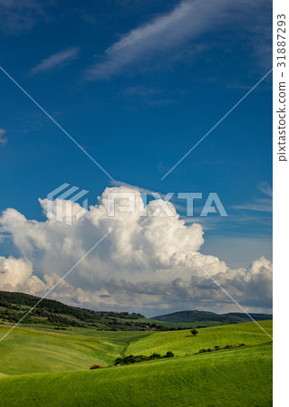 Tuscany scenery, Italy Tuscany scenery, Italy 31887293