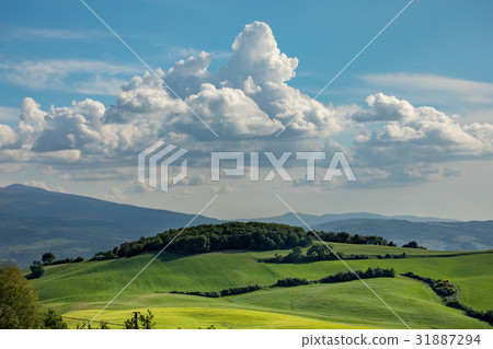 Tuscany scenery, Italy Tuscany scenery, Italy 31887294
