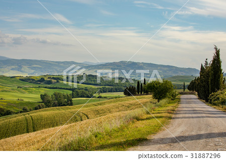 Tuscany scenery, Italy 31887296