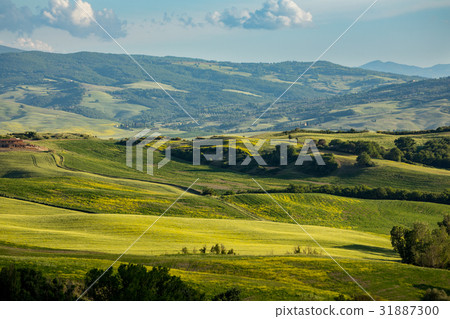 Tuscany scenery, Italy Tuscany scenery, Italy 31887300